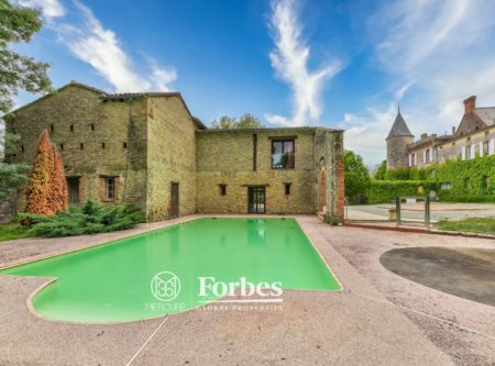 South of France, furnished chateau on 9 ha - 9016TS