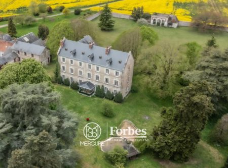 15KM FROM BLOIS – CHATEAU 18-19TH – 750 M² – PARK 3.5 HA - 20392CL