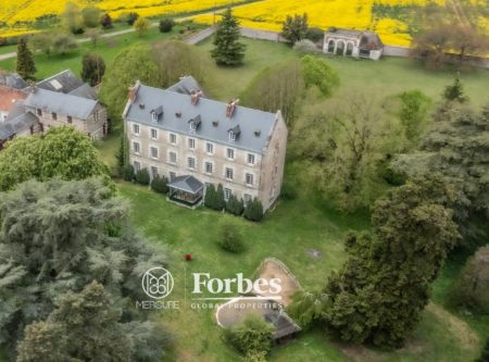 15KM FROM BLOIS – CHATEAU 18-19TH – 750 M² – PARK 3.5 HA - 20392CL