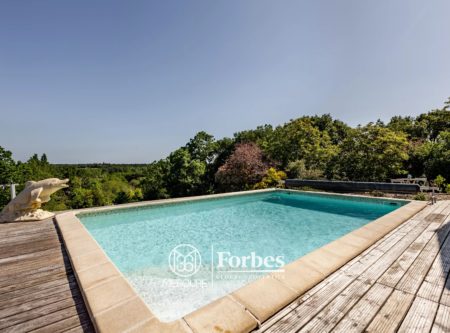 Vendée La Chaize-Giraud – Maison avec piscine et gîtes - 2290VE