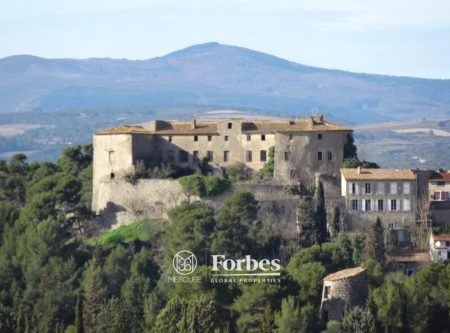 HERAULT MINERVOIS EXCLUSIVITE MAJESTUEUX CHATEAU ISMH A RESTAURER VUE INCROYABLE - 19990LR