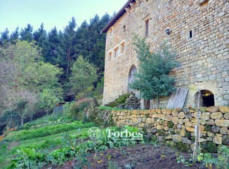 Ancienne maison forte du XIVème siècle - 4850 LY