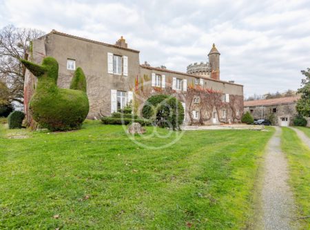 Vendée – near Challans – 15th century chateau and its parkland - 2348VE