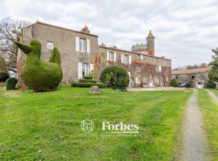 Vendée – near Challans – 15th century chateau and its parkland - 2348VE