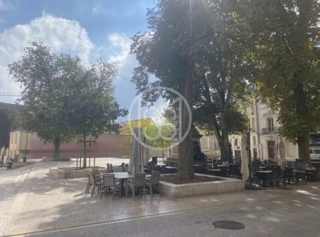 MAISON DE VILLE AVEC COUR ET TERRASSE POITIERS PLATEAU - 10041po