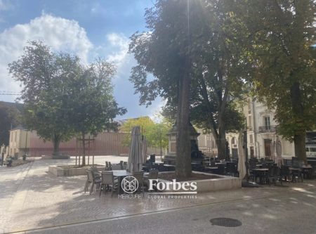 MAISON DE VILLE AVEC COUR ET TERRASSE POITIERS PLATEAU - 10041po