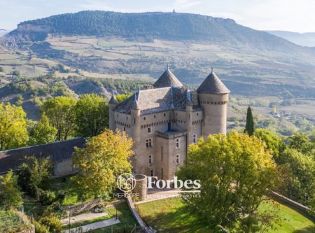 14TH CENTURY CASTLE AND ITS OLD ADJOINING FARM - 8702TS