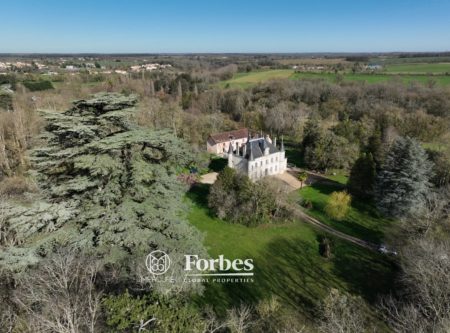 CHATEAU WITH GITE AND OUTBUILDINGS BORDERED BY A STREAM - 9875po