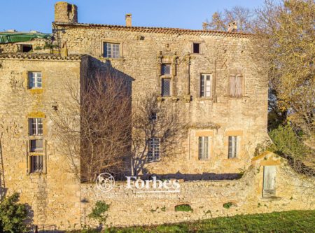 BEAU CHATEAU MEDIEVAL DANS UN VILLAGE - 9091TS