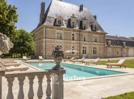 Restored castle of the XVI century, 2ha-park with swimming pool, in a forest site - 20384CL