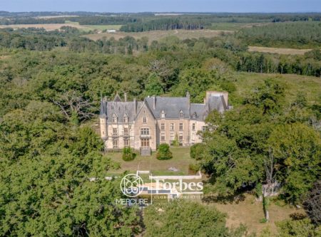 IMPOSANT CHATEAU NEOGOTHIQUE  MH- 1173m²- 30 PIECES - 20912CL