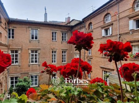 appartement T5 Toulouse centre ville Dalbade - 9103TS