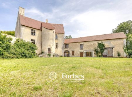 Château fort, deux habitations et parc d’un hectare. - 20418CL