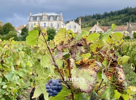 Château de Mercurey avec vue panoramique - 1718VA