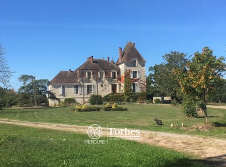 CHATEAU AND ITS LAND - 9660PO