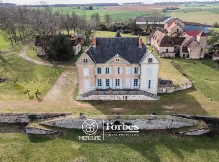 Château du XVIIIe siècle à restaurer, nombreux communs du XVIIème, parc de 8 hectares avec étang. Vue imprenable. - 1680MAC