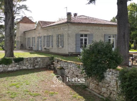 MAISON XVIIÈME AVEC GÎTES ET DÉPENDANCES PROCHE D’AGEN - 901008bx