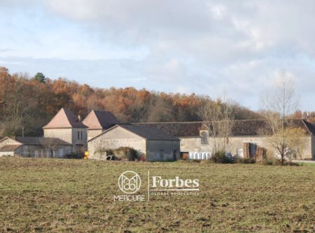 BEL ENSEMBLE ARCHITECTURAL – 40HA VALLONNE - 900972bx