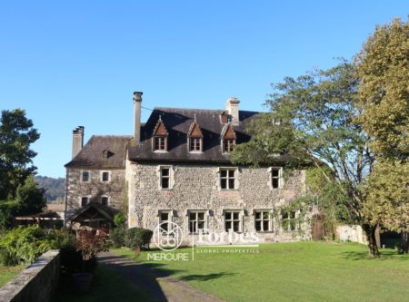 ELEGANT CHATEAU MEDIEVAL XIIEME DE 523 m2 SUR PARC A L’ANGLAISE DE 2.5 Ha - 901020bx