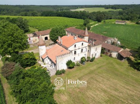 Southwest of France, near Labastide d’Armagnac – Chateau and outbuildings set in 150 hectares - 900990bx