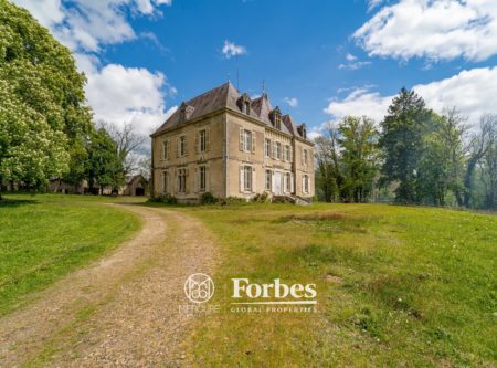 CHATEAU A RENOVER- DEPENDANCES- PARC DE 3 HECTARES - 1728MAC