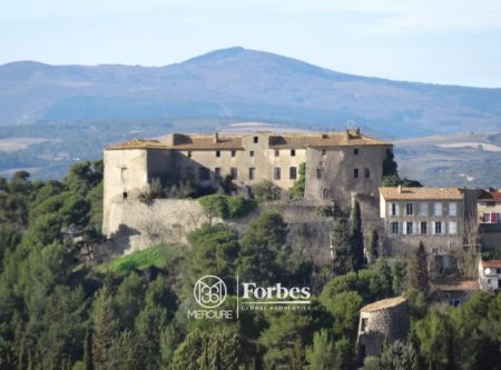 HERAULT MINERVOIS EXCLUSIVE MAJESTIC CHATEAU ISMH TO RESTORE INCREDIBLE VIEW - 19990LR