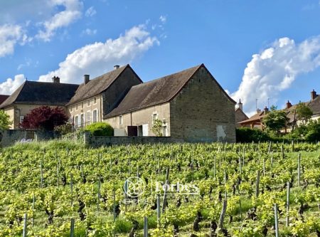 Former 17th-century wine-growing property with vines overlooking the Côte Chalonnaise - 1741VA