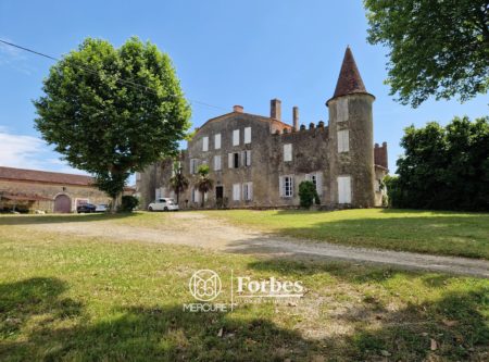 CHATEAU ET DEPENDANCES SUR 4,4 HECTARES - 901005bx