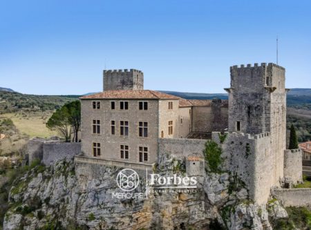 HERAULT 40 MINUTES NORTH OF MONTPELLIER CHATEAU DE BRISSAC ORIGIN 12th century AND ITS OUTBUILDINGS - 20651LR