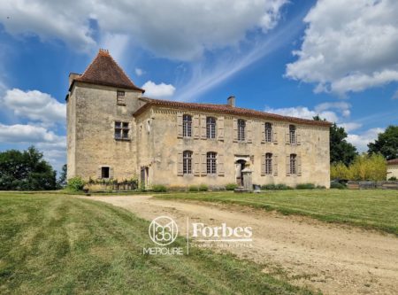 SOUTH OF FRANCE NEAR BORDEAUX – FULLY RESTAURED 14TH CENTURY CHATEAU – 7 HA - 900975bx