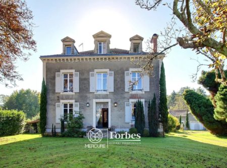 BEAUTIFUL MANOR HOUSE WITH PARK AND OUTBUILDINGS IN POUILLON - 900919bx