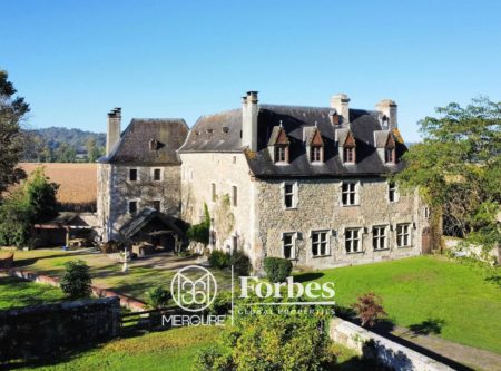 MEDIEVAL CHATEAU 523 M2  ON 2 HA  ENGLISH STYLE PARK - 901019bx