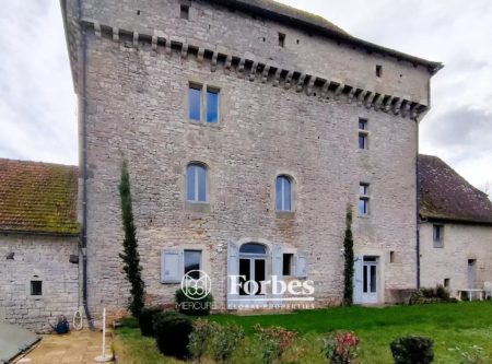 CHATEAU XIVEME CLASSE MH – VUE PANORAMIQUE SUR LE LOT - 9122TS