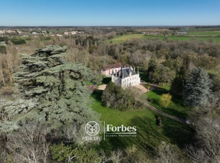 A VENDRE, EXCLUSIVITÉ, CHATEAU DE STYLE LOUIS PHILIPPE AVEC GITE, COMMUNS, CONCIERGERIE SUR BEAU PARC BORDÉ PAR UN RUISSEAU - 9875po