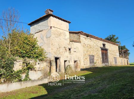 PUY DE DOME, PLAINE DE LA DORE: FERMETTE XIXème ET SES DEPENDANCES, L’ENSEMBLE A RENOVER SUR TERRAIN DE 5.5HA - 21023AU