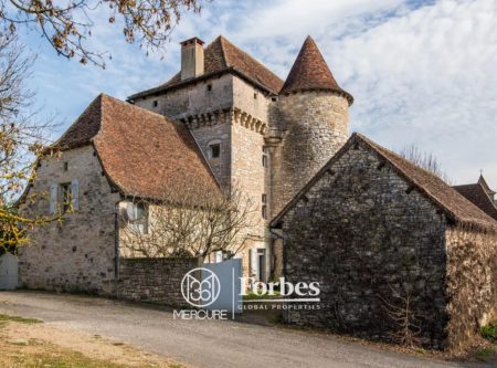 CHATEAU XIVEME CLASSE MH – VUE PANORAMIQUE SUR LE LOT - 9122TS