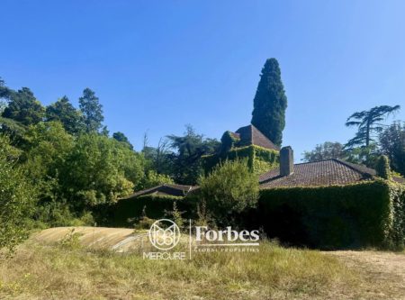 PROPERTY WITH OUTBUILDINGS ON 15000 m² of land - 9084TS