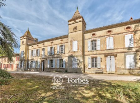 MAGNIFIQUE CHATEAU XVIIIE AVEC DEPENDANCES - 8882TS