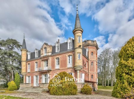 MAGNIFIQUE CHATEAU NAPOLEON III – 15 KM DE TOULOUSE - 9099TS