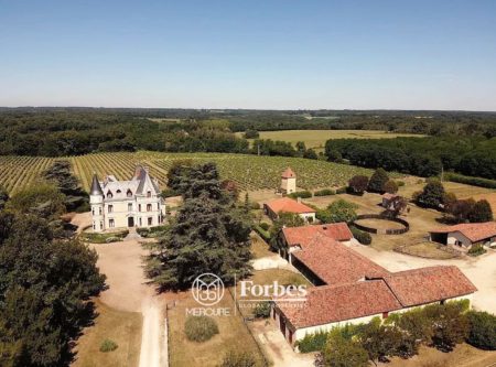 CHATEAU XIXE – ECURIE – VIGNES – 74HA - 8742TS