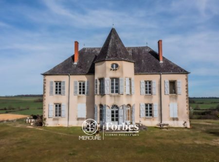 Château du XVIIIe siècle à restaurer, nombreux communs du XVIIème, parc de 8 hectares avec étang. Vue imprenable. - 1680MAC