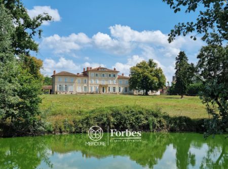 LOIRE – PLAINE DU FOREZ – CHATEAU ON 4.8 HA - 4838LY