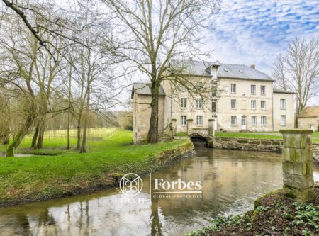 ENTRE REIMS ET SOISSONS – ANCIEN MOULIN ET DEPENDANCES DANS UN PARC DE 4.2HA - 80621P2