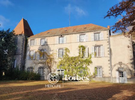 Domaine avec Château XVIIIème, dépendances, piscine, tennis, 10min centre RIOM - 21064au-1