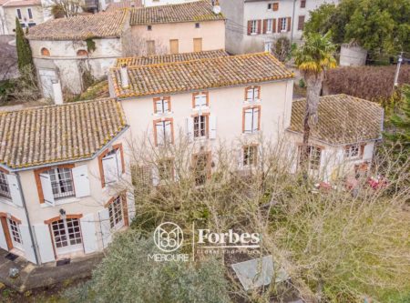 Charmante maison dans un beau village de l’Aude, entre Castelnaudary et Limoux - 9113TS