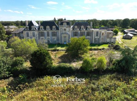 CHATEAU FIN RENAISSANCE sur 26 HA - 9778PO