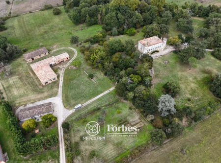 MAISON DE MAITRE SUR UN PARC ARBORE DE 14 HECTARES - 9053TS