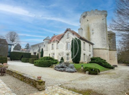 AISNE – CHATEAU ET DEPENDANCES AVEC COUR, JARDIN ET HERBAGES - 80583PI