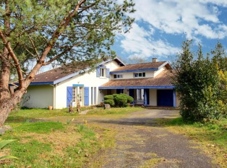 BELLE MAISON LANDAISE SUR PARC DE 9 000 M2 – POMAREZ (LANDES) - 901037bx