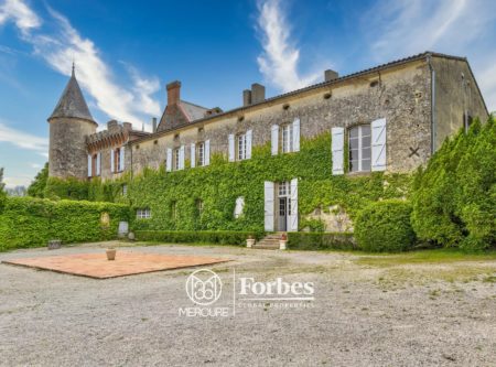 CHATEAU MEUBLE SUR 9HA – ORANGERIE – GITES - 9016TS